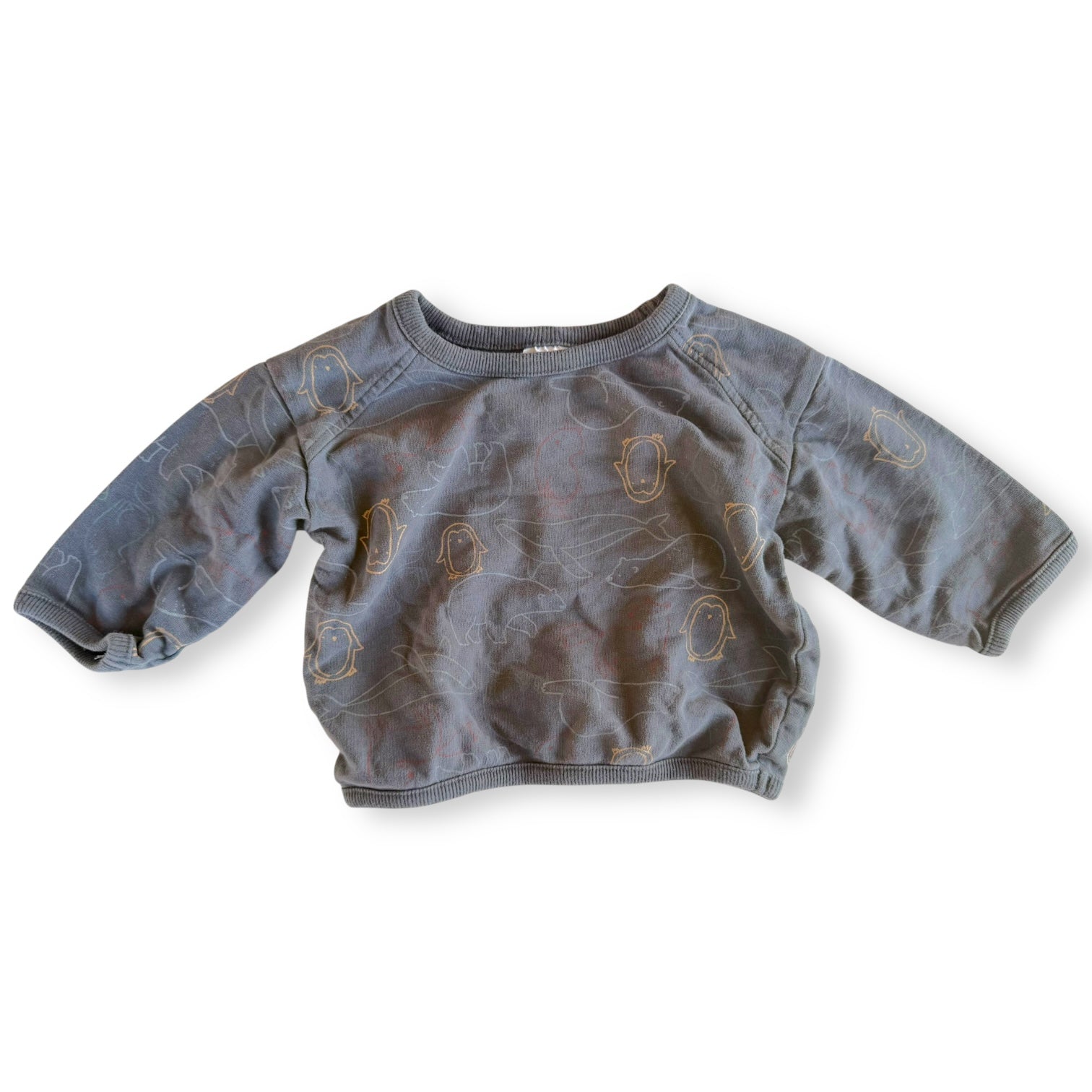 Animals Outline Sweatshirt - 6-12m - Anko