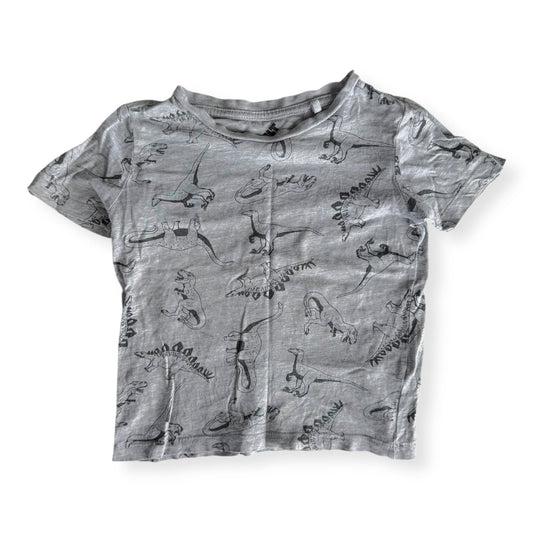 Grey Dino Tshirt - Size 3 *play*