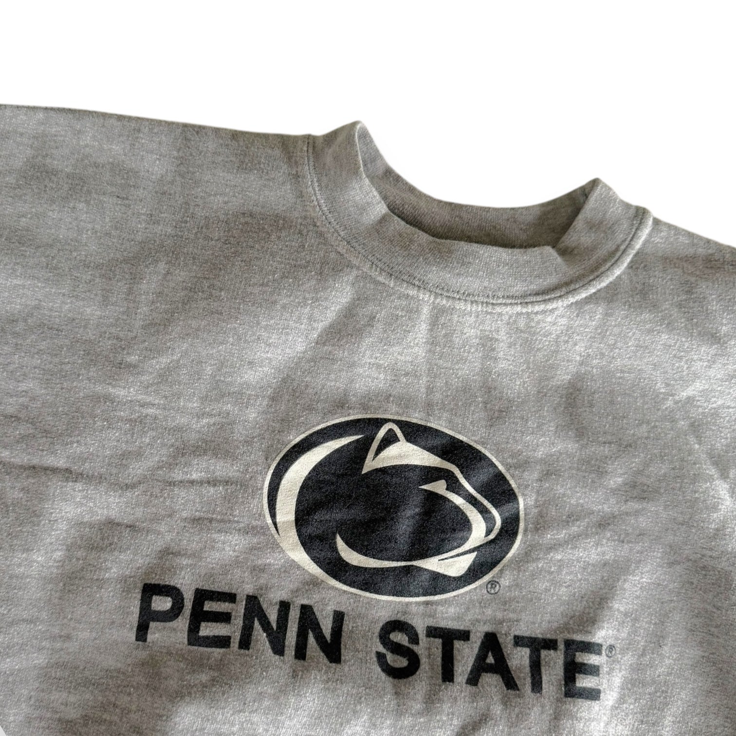 Penn State Gildan Crewneck - Size 18-20 YOUTH