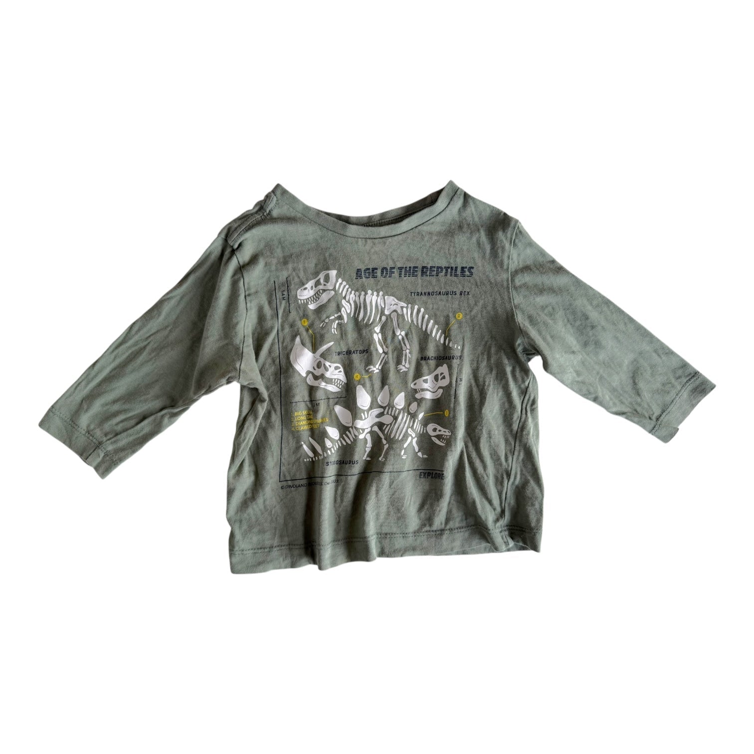 Dinosaur Green Longsleeve - Size 1